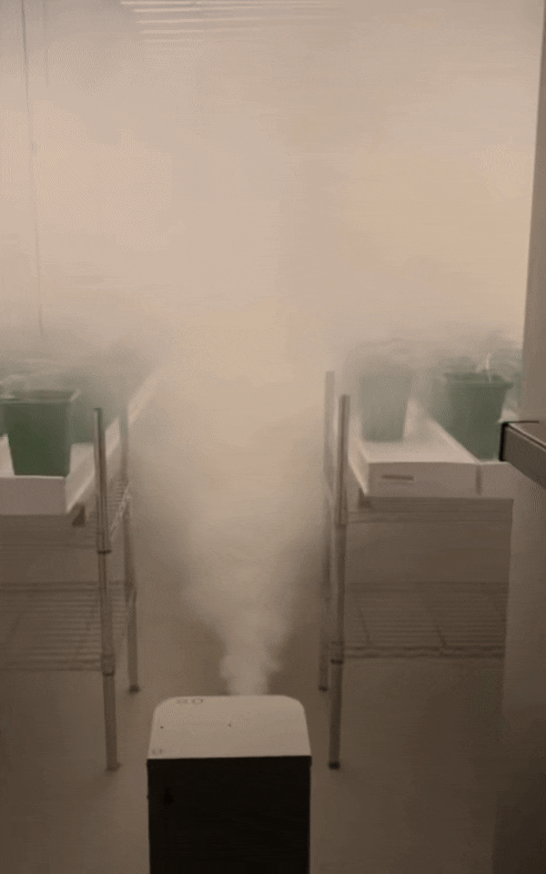 Neutrafog IPM System spraying mechanism demonstration